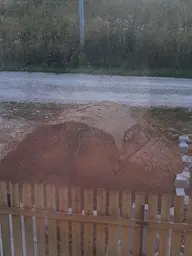 Предпросмотр фото