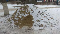 Предпросмотр фото