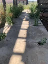Предпросмотр фото