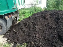 Предпросмотр фото