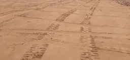 Предпросмотр фото