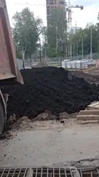 Предпросмотр фото