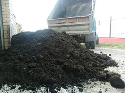 Предпросмотр фото