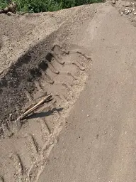 Предпросмотр фото