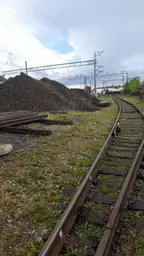 Предпросмотр фото