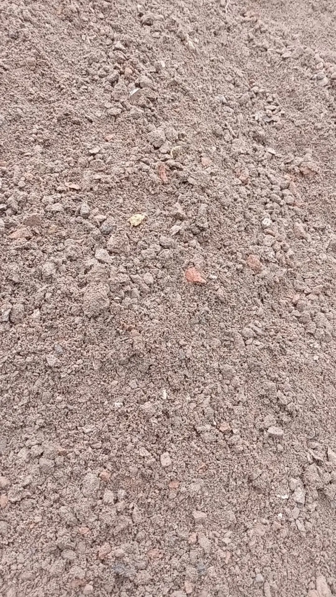 Объявление "Отсев"