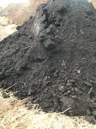 Предпросмотр фото