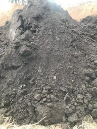 Предпросмотр фото