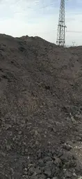 Предпросмотр фото