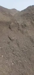 Предпросмотр фото
