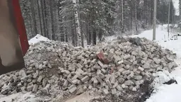 Предпросмотр фото