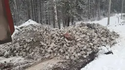 Предпросмотр фото