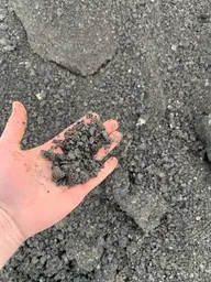 Предпросмотр фото